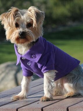 Doggie Design 100% Cotton Solid Dog Polo - Ultra Violet NWT Size: S